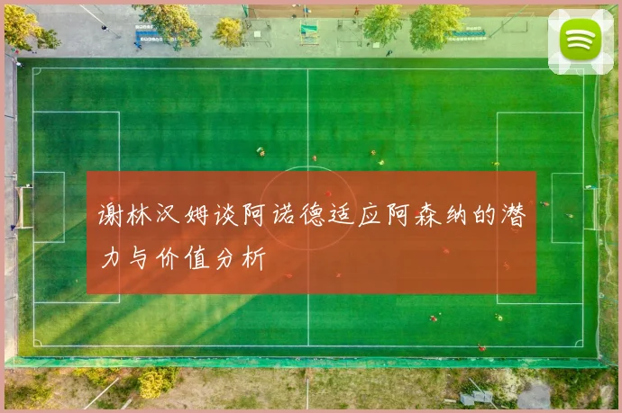 谢林汉姆谈阿诺德适应阿森纳的潜力与价值分析